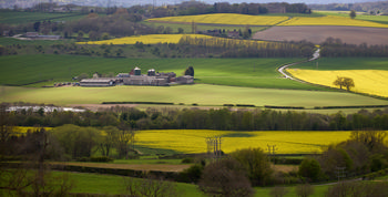 This landscape photograph captures Palterton towards Sutton Scarsdale farm and hall on a bright spring afternoon. The image highlights the vibrant agricultural fields in the area, with expanses of green crops and striking yellow rapeseed blooming under the clear sunlight. Rolling hills and clusters of trees surround Sutton Scarsdale Farm, adding depth and texture to the scenery. The sunlight creates distinct shadows across the fields, enhancing the contrast and definition of the landscape. Sutton Scarsdale Hall, a historic landmark, is visible in the distance atop one of the hills, contributing to the rural atmosphere and emphasizing the agricultural heritage of the region.